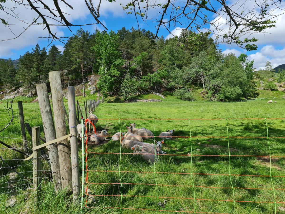 فيلا Hygge Pa Fjellet Øyuvstad المظهر الخارجي الصورة
