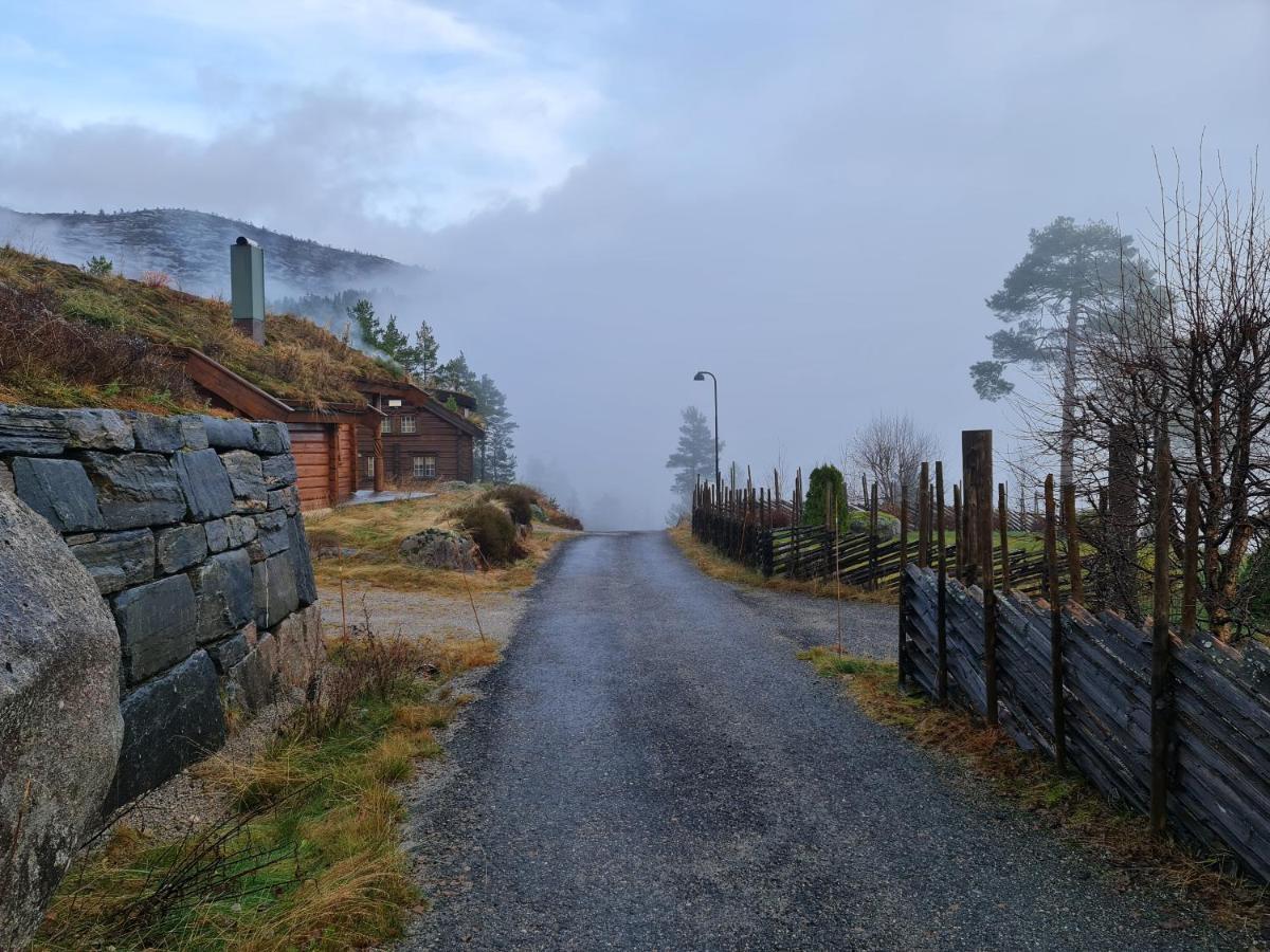 فيلا Hygge Pa Fjellet Øyuvstad المظهر الخارجي الصورة