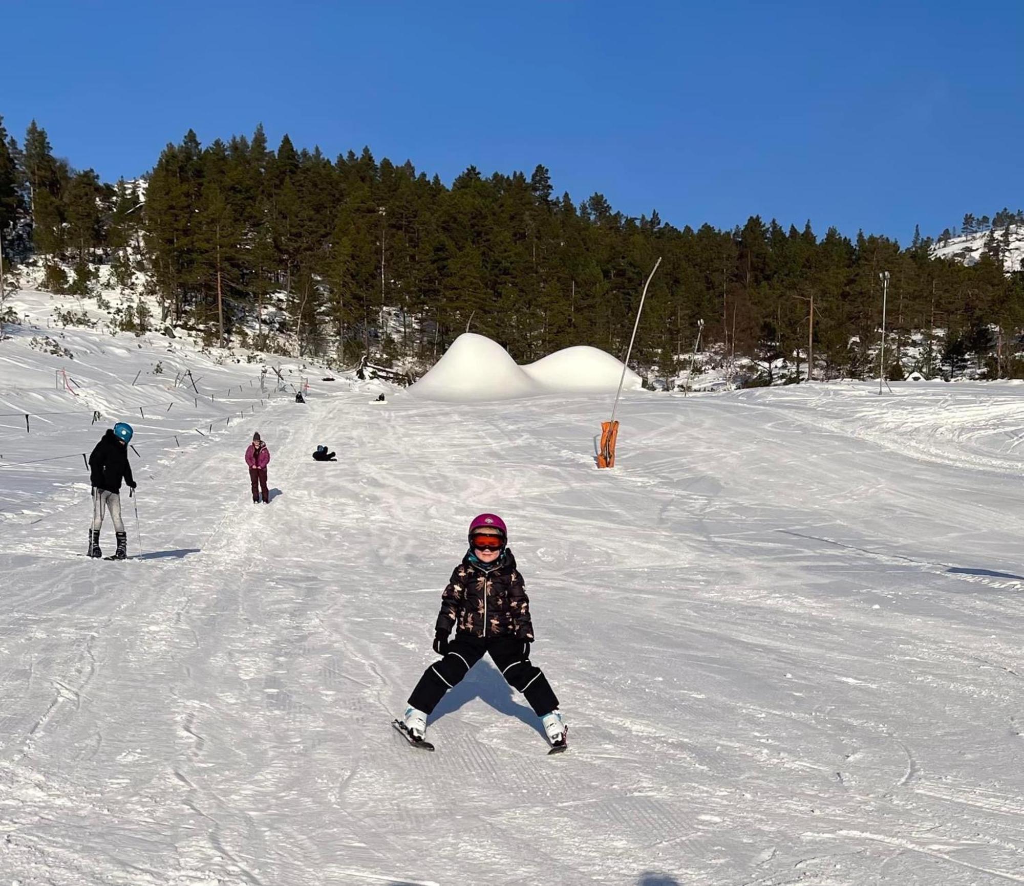 فيلا Hygge Pa Fjellet Øyuvstad المظهر الخارجي الصورة