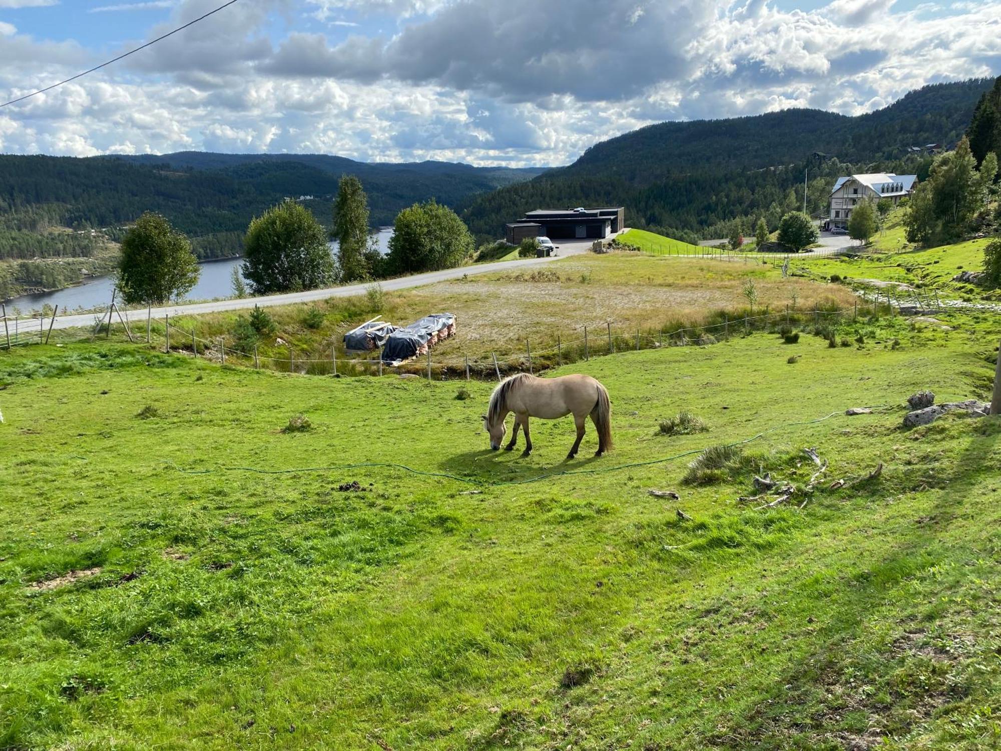 فيلا Hygge Pa Fjellet Øyuvstad المظهر الخارجي الصورة