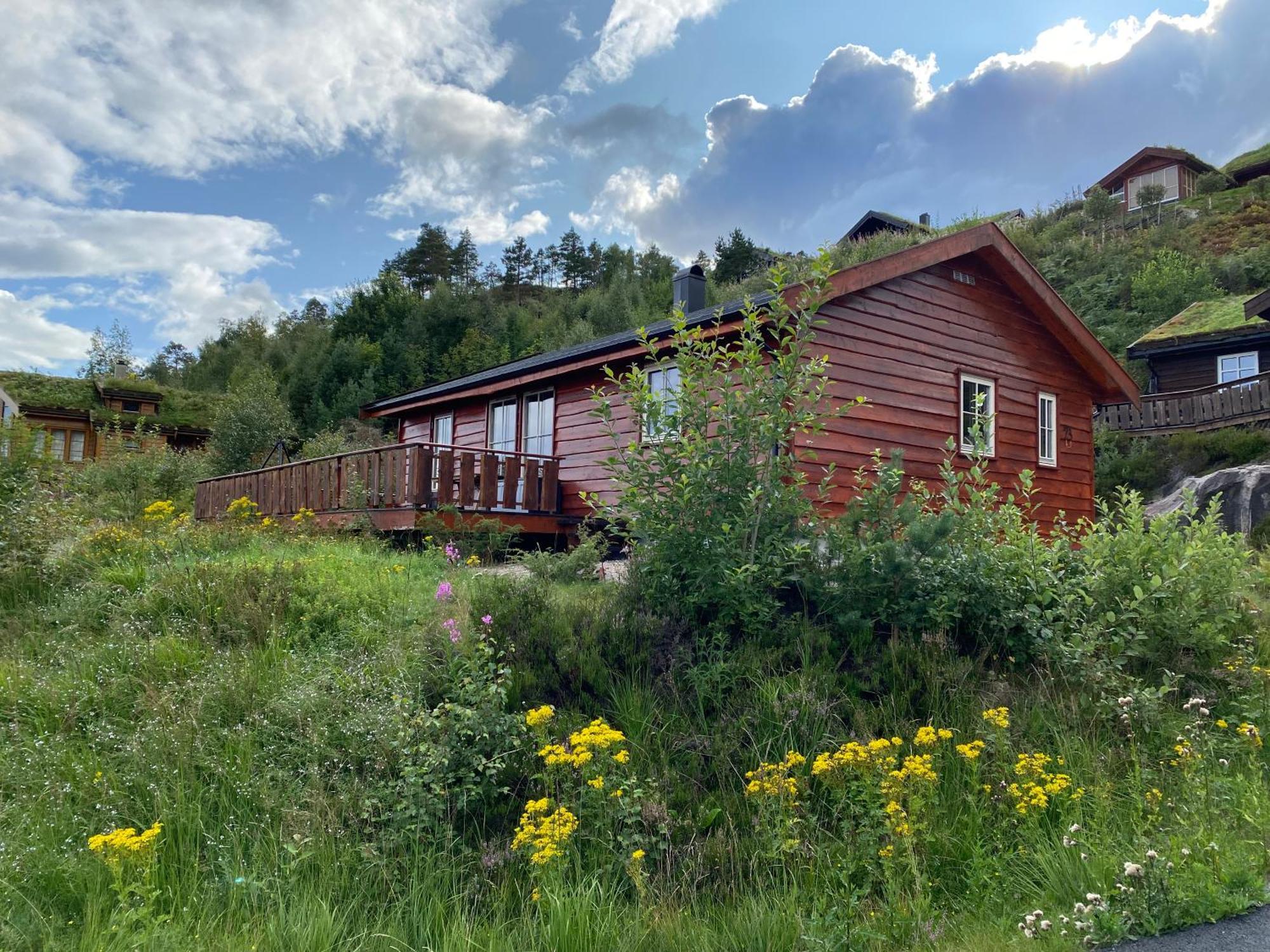 فيلا Hygge Pa Fjellet Øyuvstad المظهر الخارجي الصورة